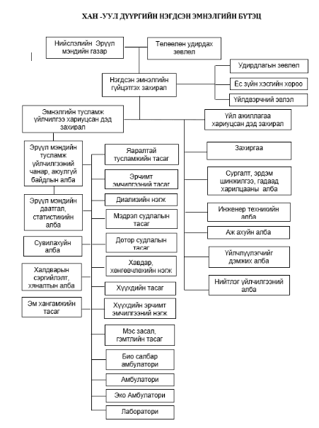 organization structure